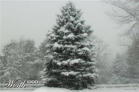 Photography by Kirsilouis