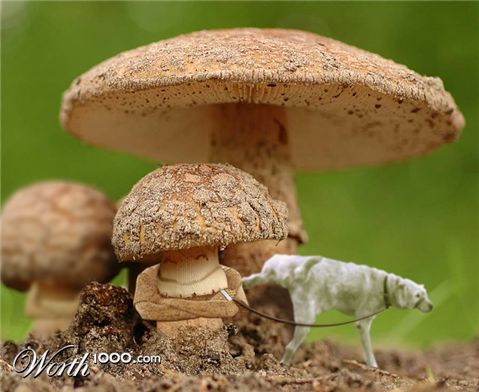 Photoshop Design by prins063