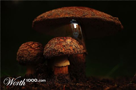 Photoshop Design by loekigizmo