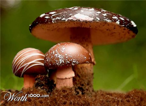 Photoshop Design by nemish