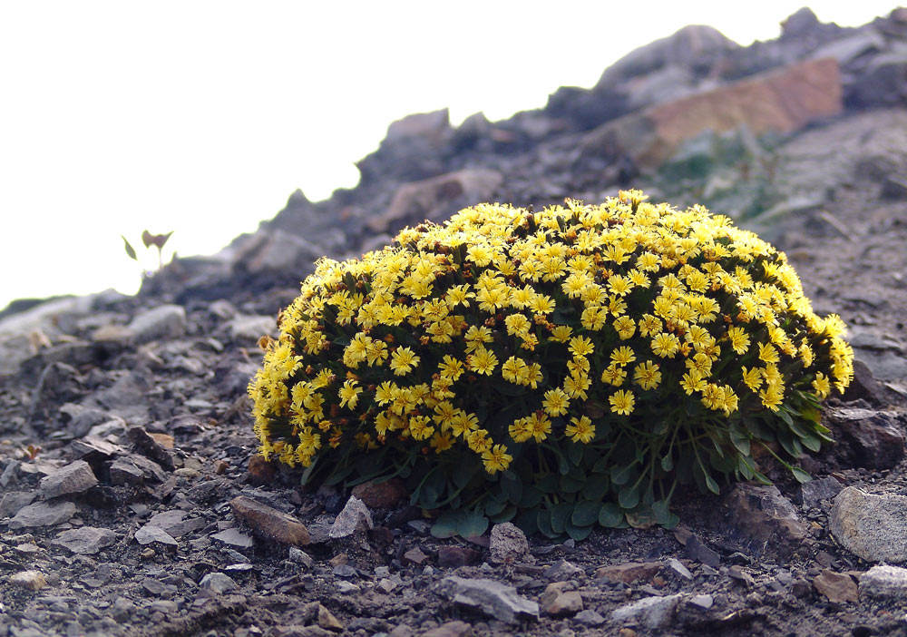 Photography by whlutz for DesignCrowd (Community Contests) | Design #9062567