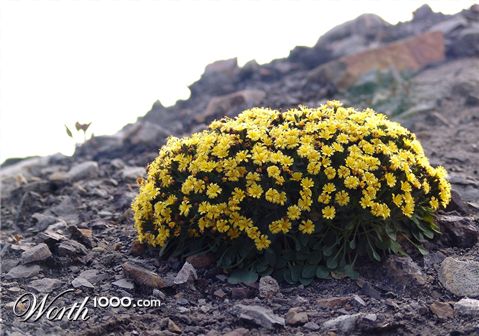 Photography by whlutz