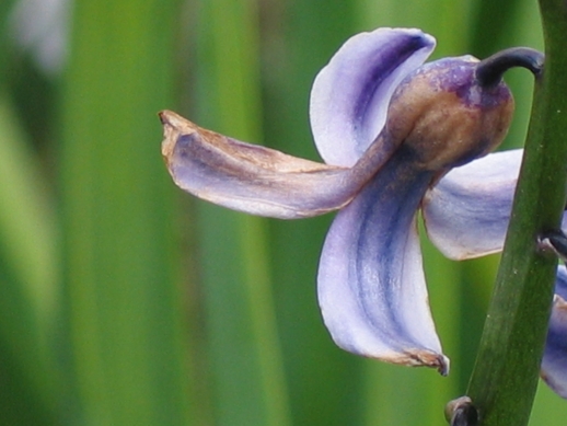 Photography by smekla for DesignCrowd (Community Contests) | Design #9060898