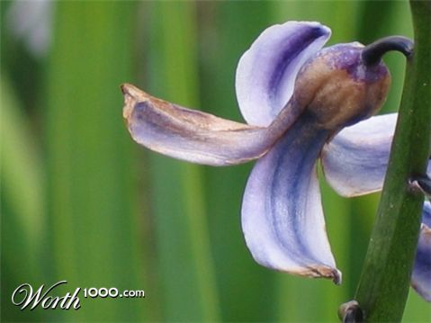 Photography by smekla