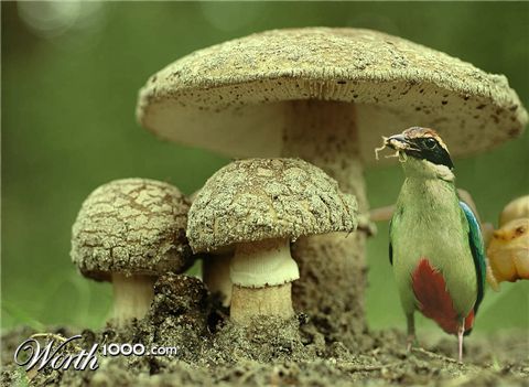 Photoshop Design by Bas1982