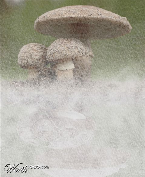 Photoshop Design by blazer2000x