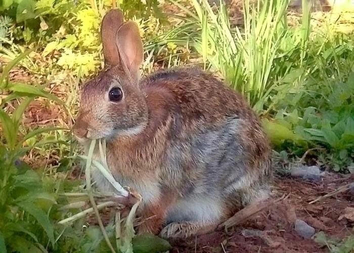 Photography by Kirsilouis for DesignCrowd (Community Contests) | Design #9062575