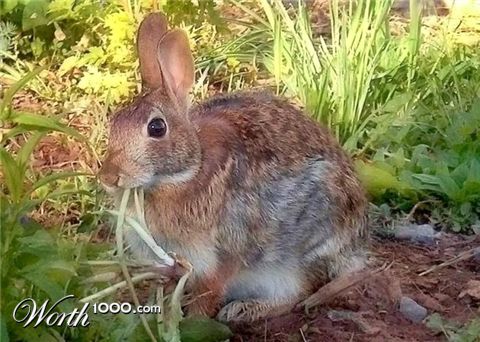 Photography by Kirsilouis