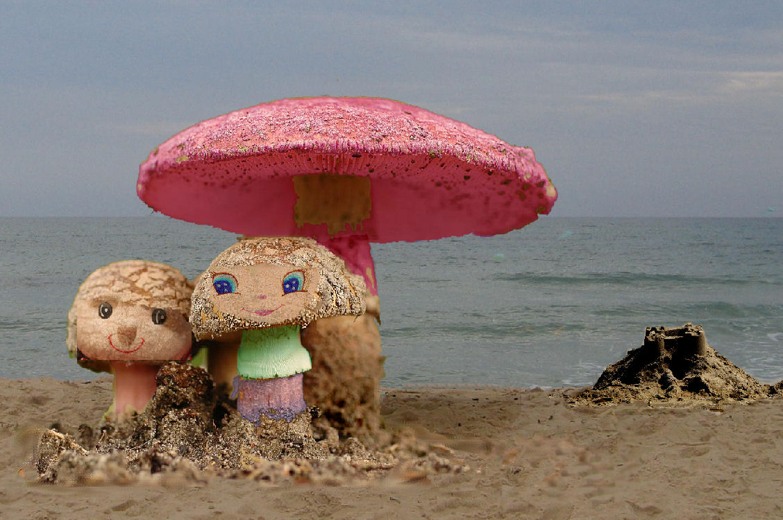 Diseño de Photoshop por MiddyOil para DesignCrowd (Community Contests) | Diseño #9060409