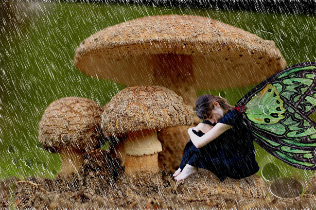 Photoshop Design by cessnajumpin for DesignCrowd (Community Contests) | Design #9060307