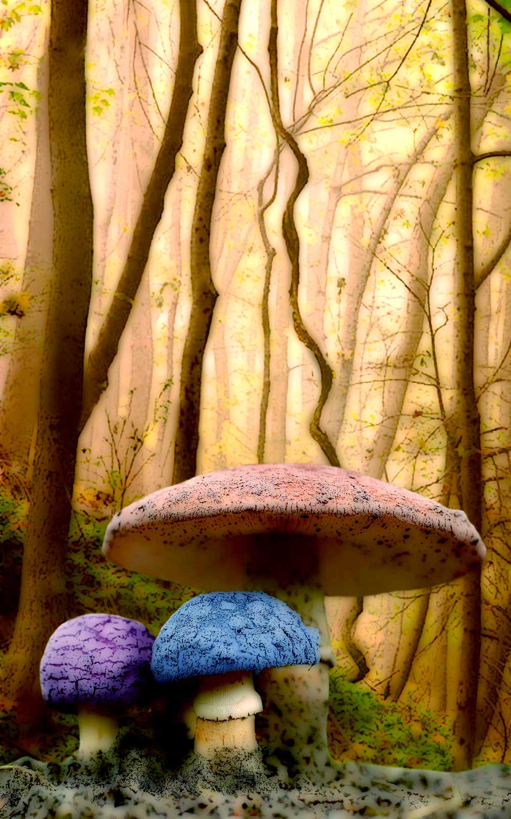 Design Photoshop par bertdesign pour DesignCrowd (Community Contests) | Design #9060402