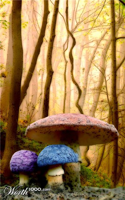 Photoshop Design by bertdesign