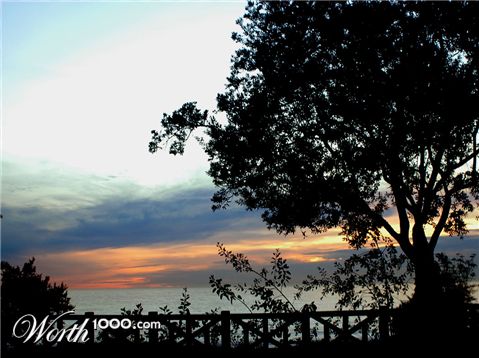 Photography by Rosalette