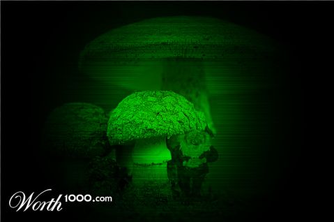 Photoshop Design by borg05