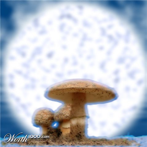 Photoshop Design by jssshashi