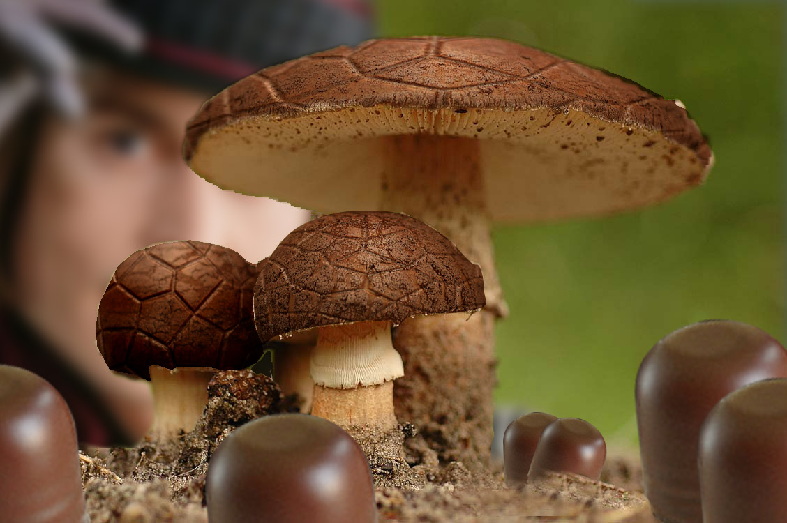 Photoshop Design by Perobadepau for DesignCrowd (Community Contests) | Design #9060379