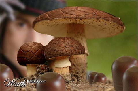 Photoshop Design by Perobadepau