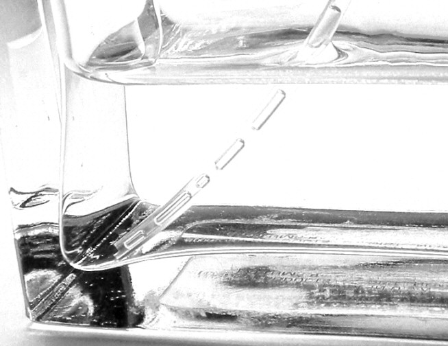 Photographie par izzy8806 pour DesignCrowd (Community Contests) | Design #9071283