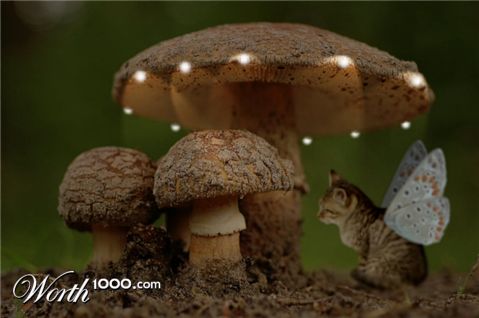 Photoshop Design by Pazaahhh