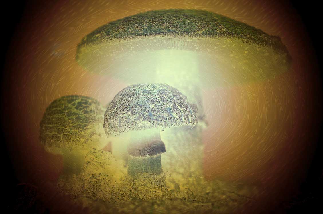 Photoshop-Design von grmy01 für DesignCrowd (Community Contests) | Design #9060351