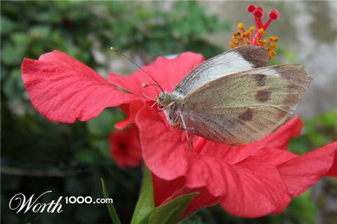 Photography by Marthese