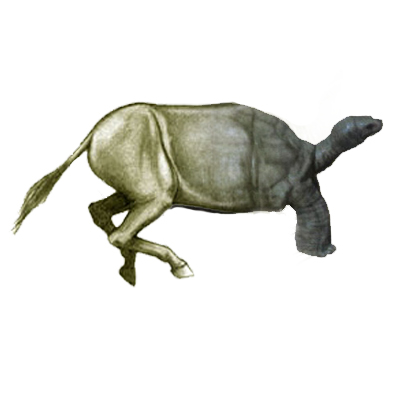 Photoshop Design by oljohnson for DesignCrowd (Community Contests) | Design #9071537