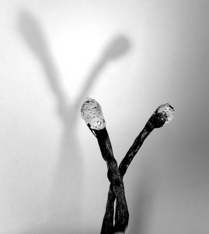 Fotografie von mzmzmzmz für DesignCrowd (Community Contests) | Design #9071234