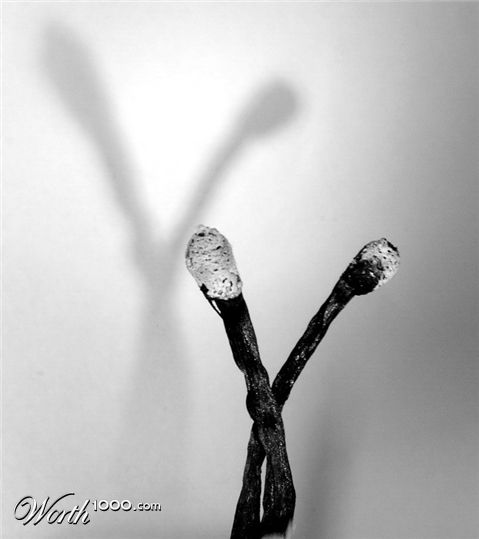 Photography by mzmzmzmz