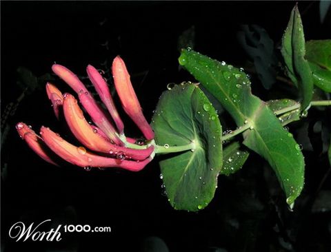 Photography by mzmzmzmz