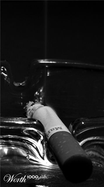 Photography by Dragon60