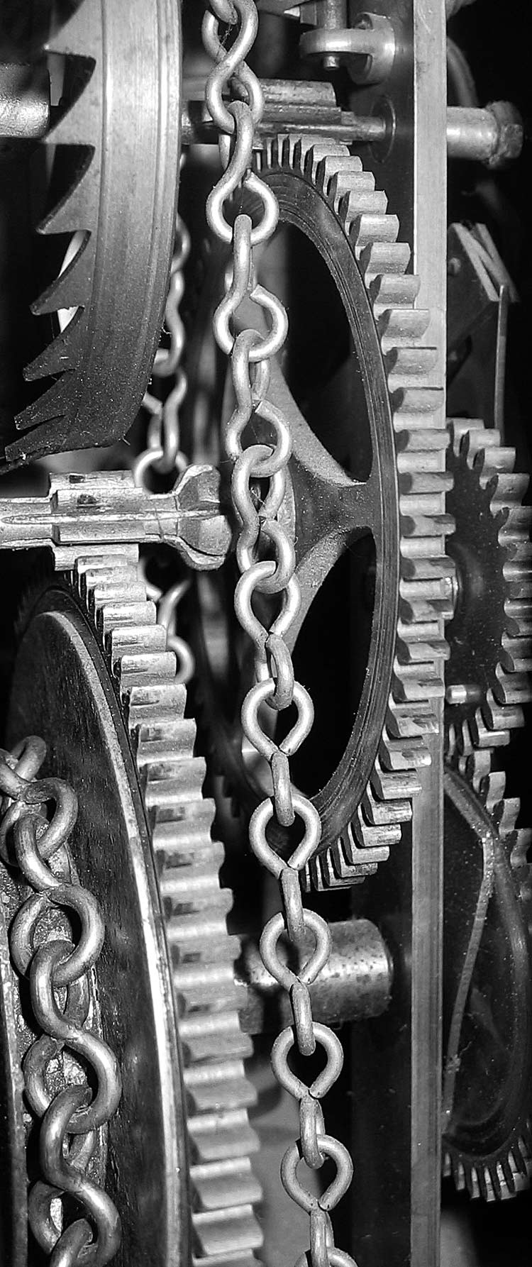 Photography by egonlinden for DesignCrowd (Community Contests) | Design #9071296