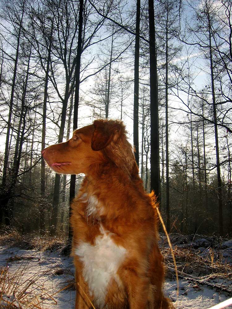 Photographie par egonlinden pour DesignCrowd (Community Contests) | Design #9062597