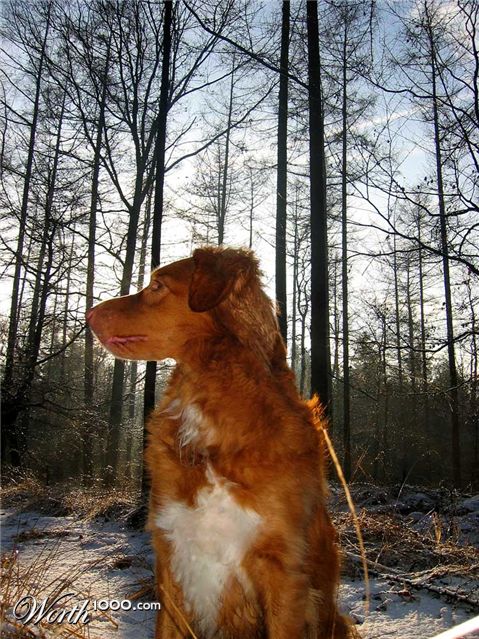 Photography by egonlinden