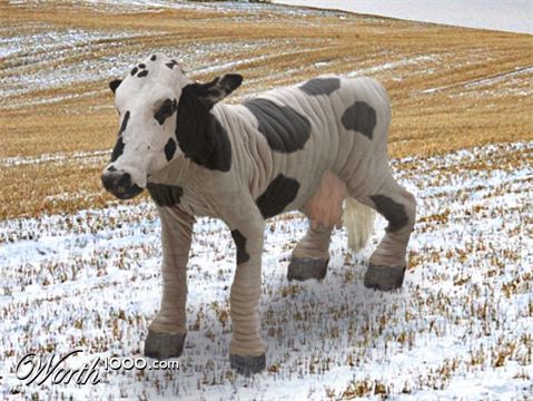 Photoshop Design by downside