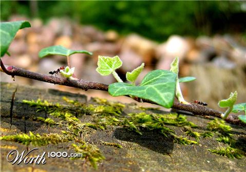 Photography by egonlinden