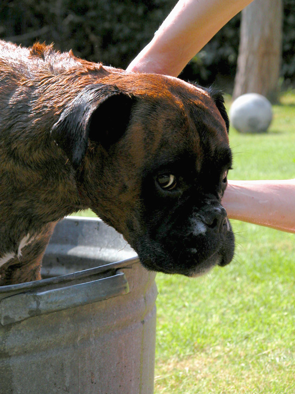 Photography by MilleDju for DesignCrowd (Community Contests) | Design #9061028