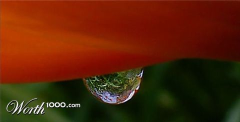 Photography by MrsFuzzButt