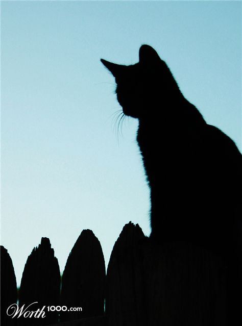 Photography by dollyllama
