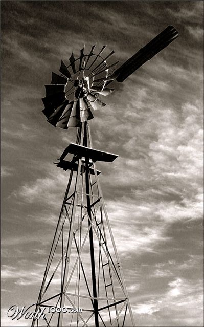 Photography by Budmulla