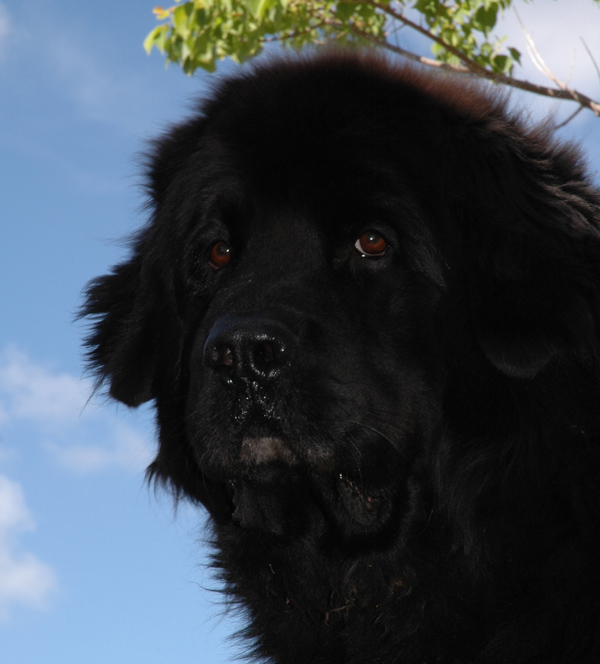 Photographie par kimbomac pour DesignCrowd (Community Contests) | Design #9062586