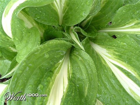 Photography by RickF413