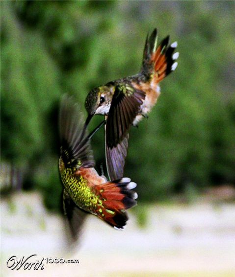 Photography by jasoned