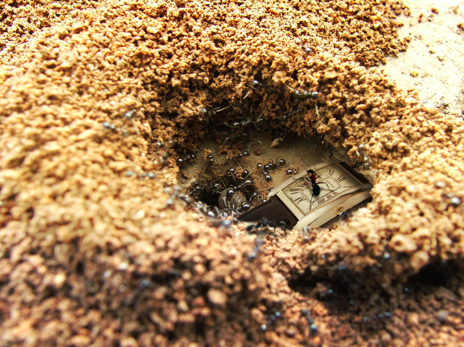 Photoshop Design by MetalEar for DesignCrowd (Community Contests) | Design #9071586