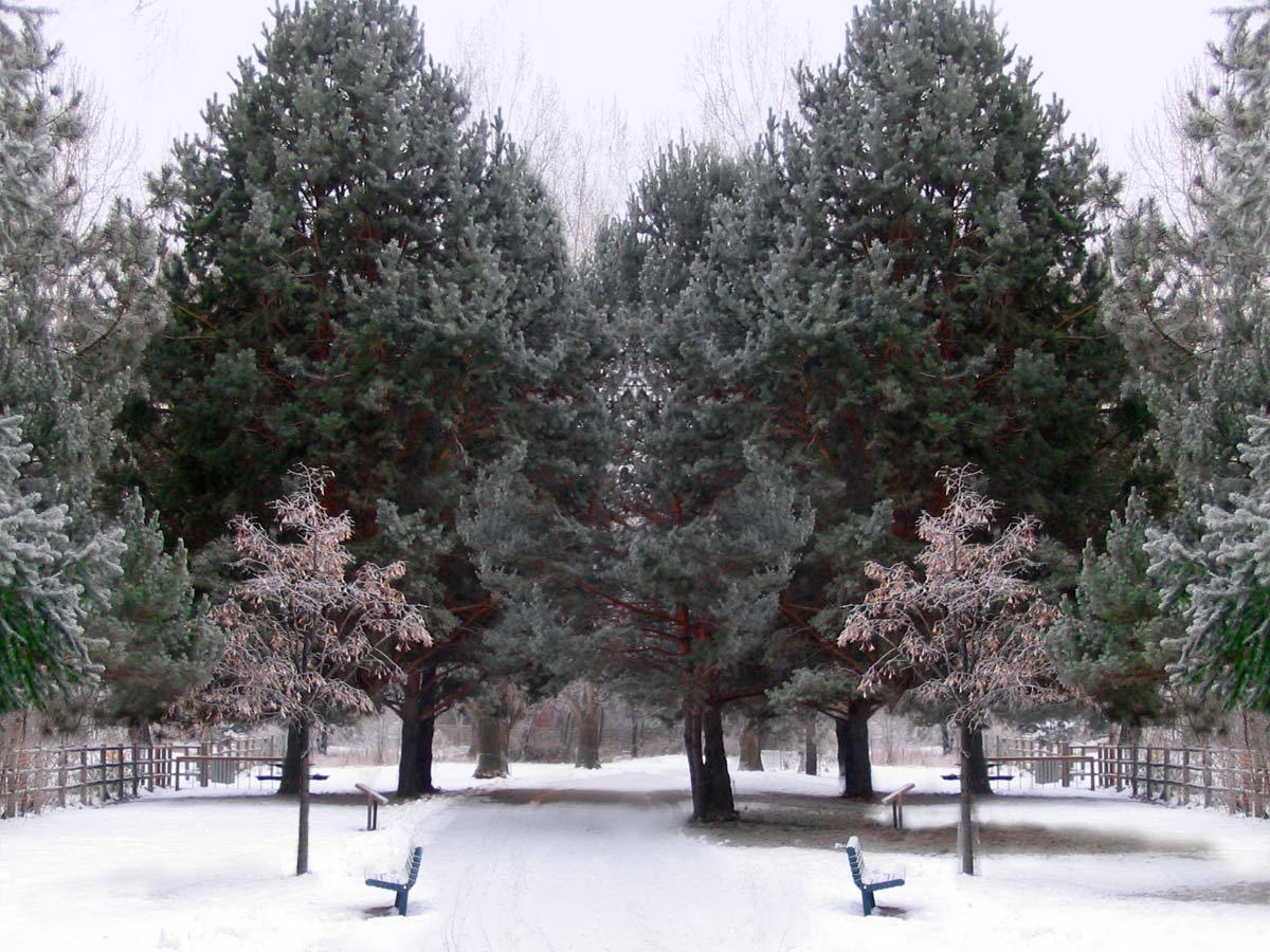 Photoshop Design by sy6777 for DesignCrowd (Community Contests) | Design #9062678