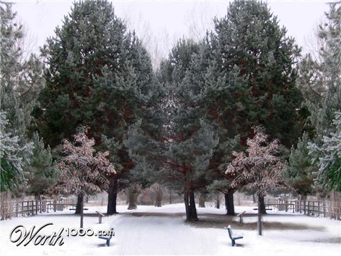 Photoshop Design by sy6777