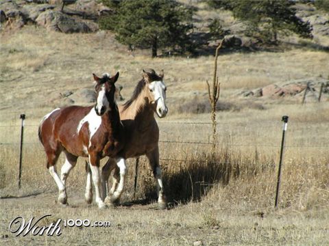 Photography by bc2poo