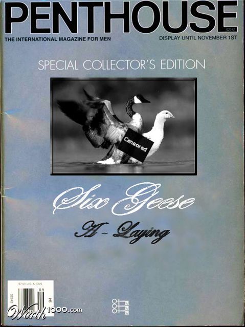 Photoshop Design by dettemelow