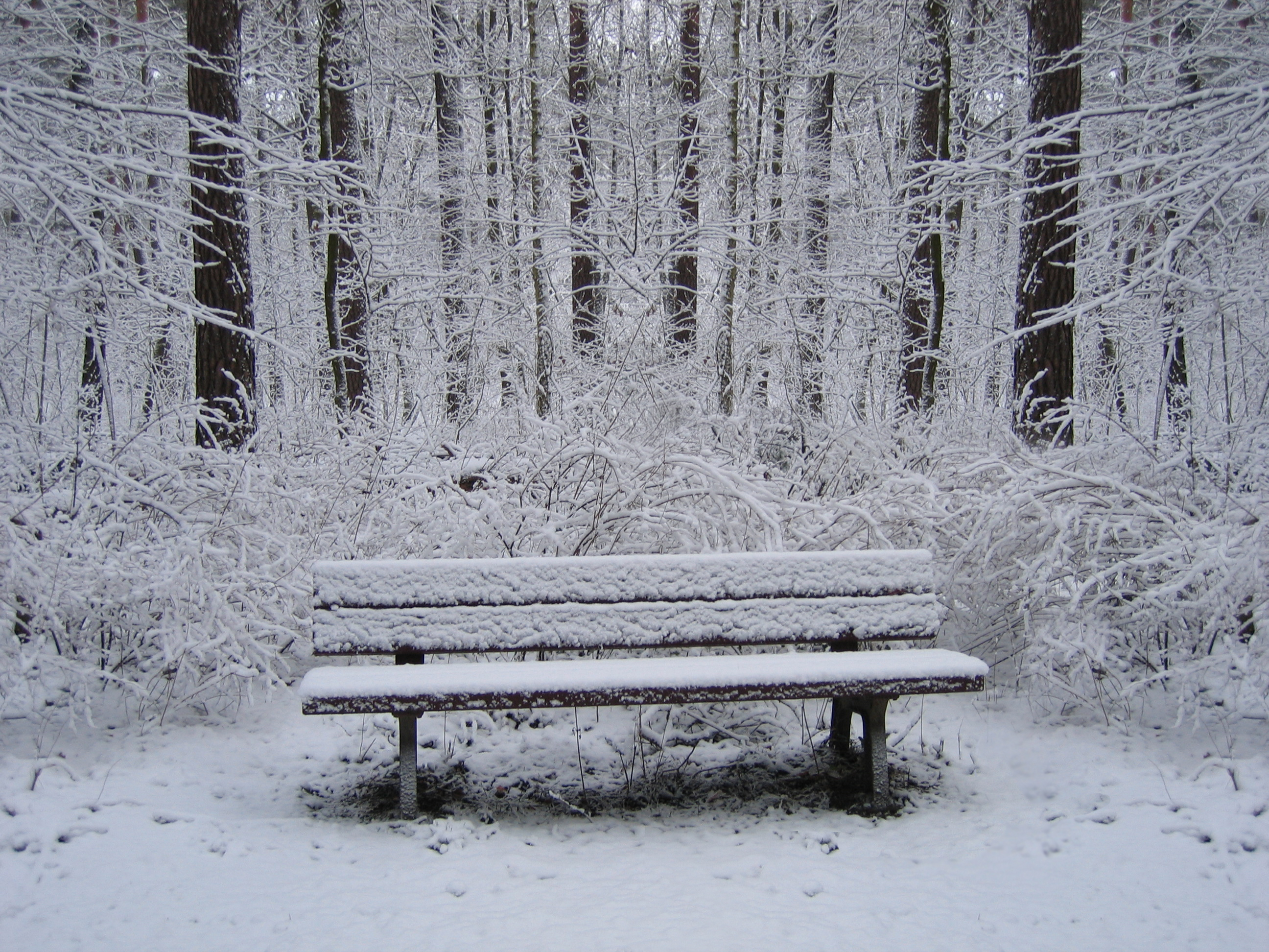 Diseño de Photoshop por Jenzen para DesignCrowd (Community Contests) | Diseño #9062684