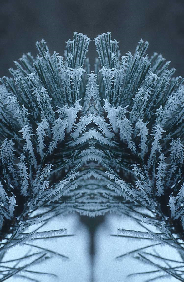 Diseño de Photoshop por GeoffMan para DesignCrowd (Community Contests) | Diseño #9062699