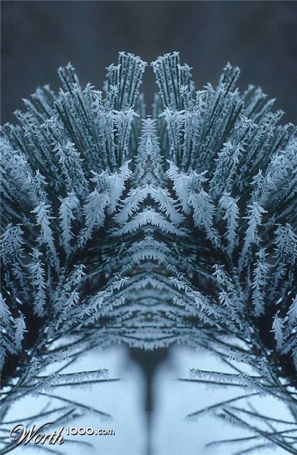 Photoshop Design by GeoffMan